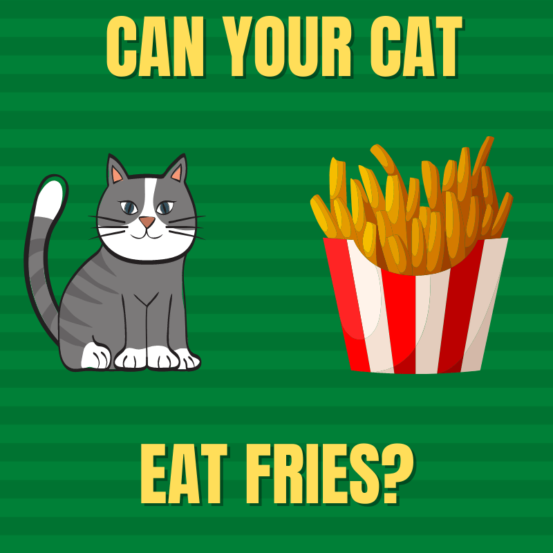 Can Cats Eat French Fries