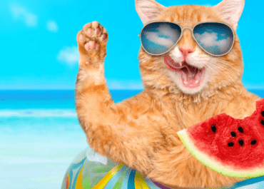 Can Cats Eat Watermelon