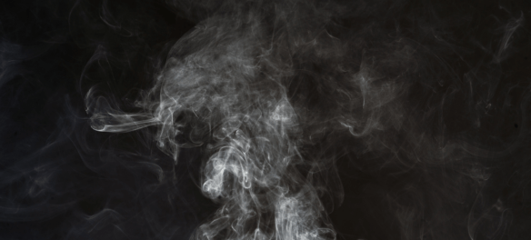 Can Cats Get High From Blowing Smoke In Their Ear