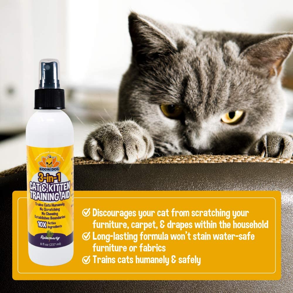 How Do You Keep Cats From Scratching Furniture With Vinegar / Claws For