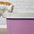 Top Entry Cat Litter Boxes