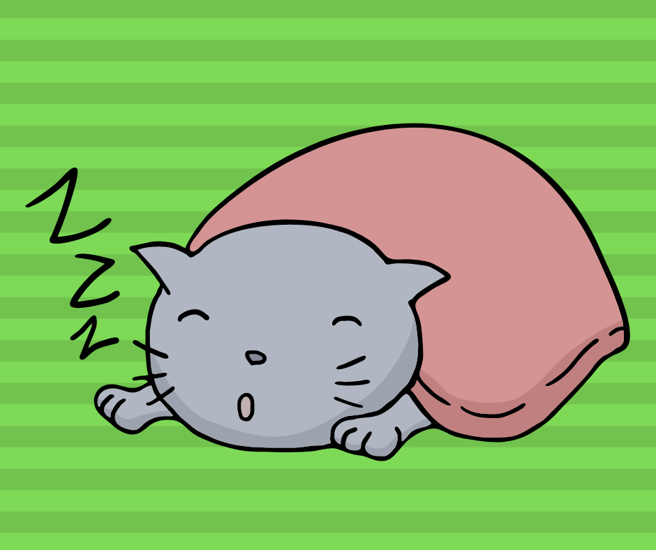 Why does my cat sleep with me and not my husband