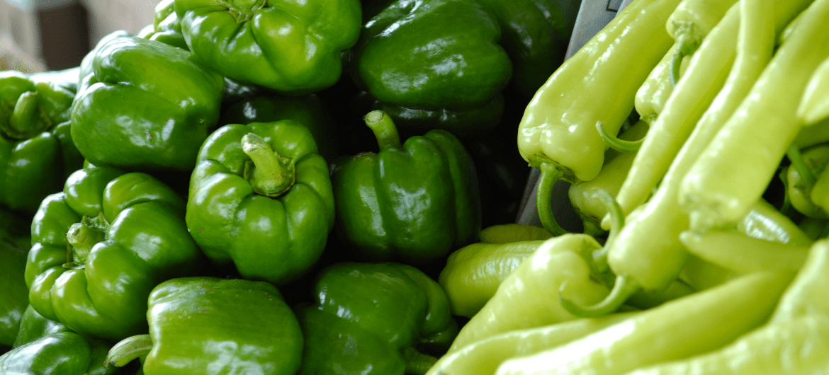 can cats eat green peppers
